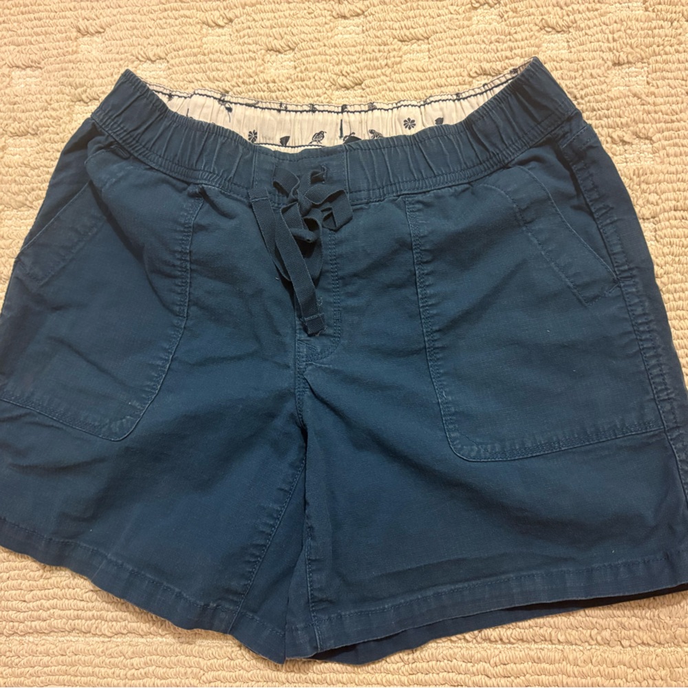 The North Face Cargo Shorts in Blue